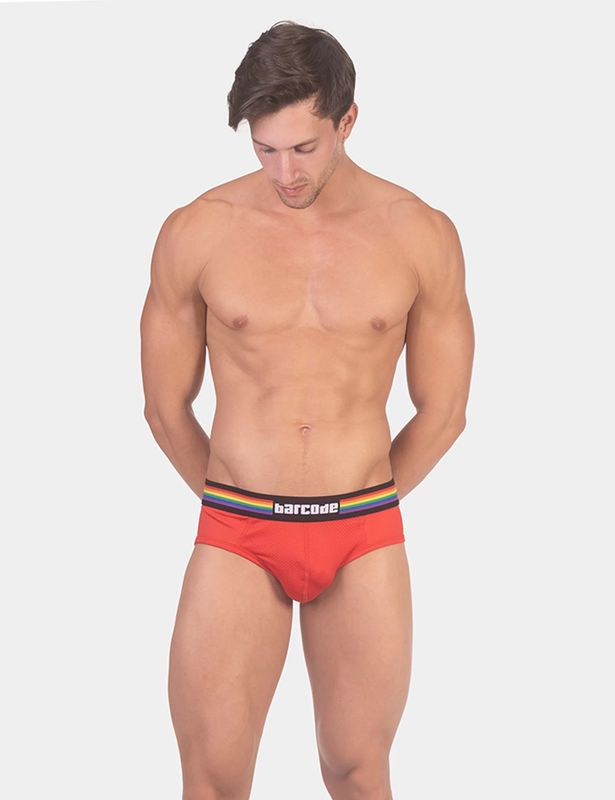 Backless Brief Pride