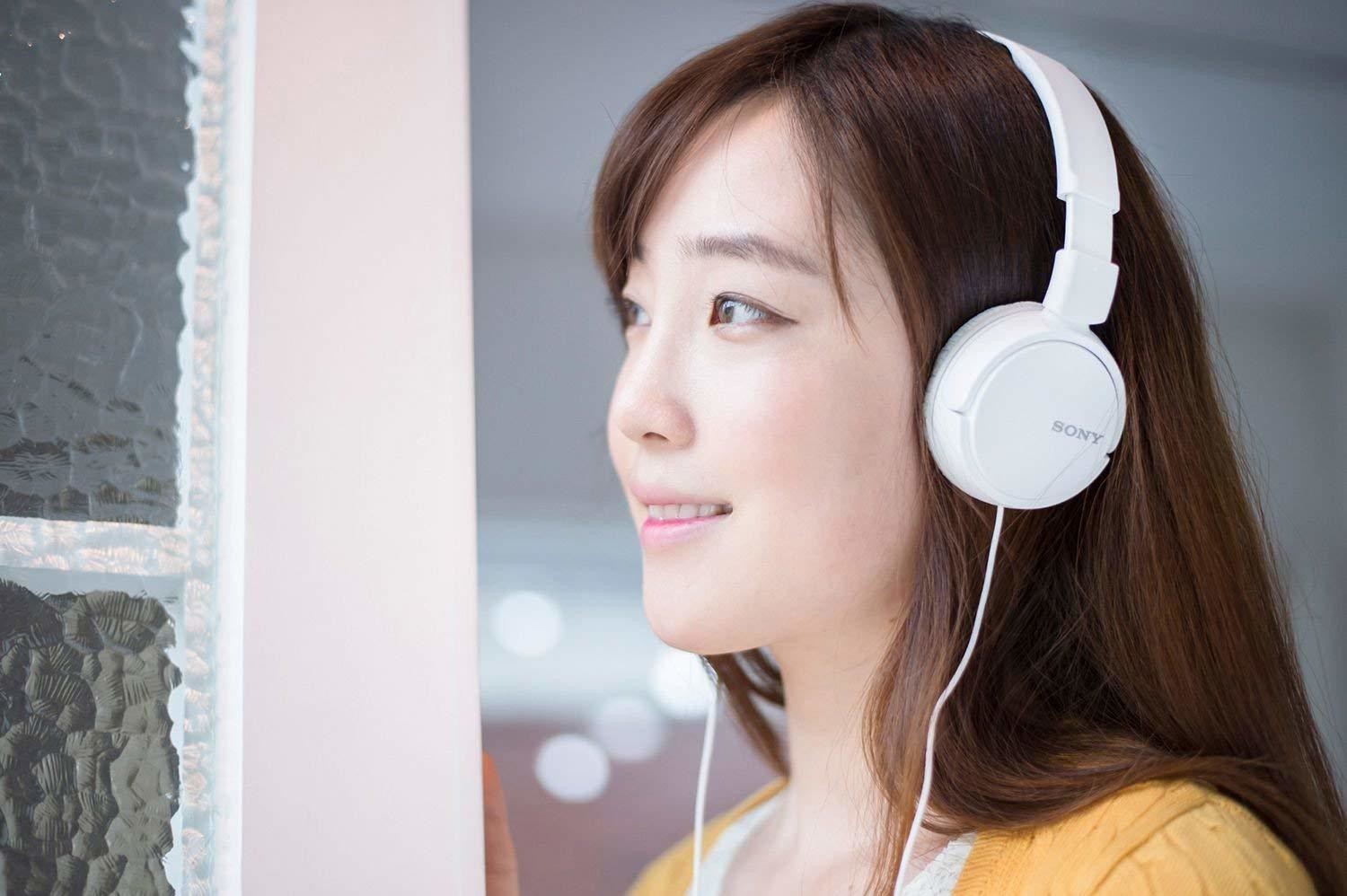 Sony Mdr Zx110 On Ear Stereo Headphones White Rs 640