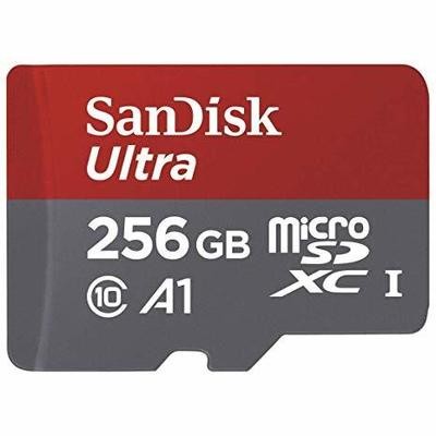 SanDisk 256GB Memory Card, A1, Class 10