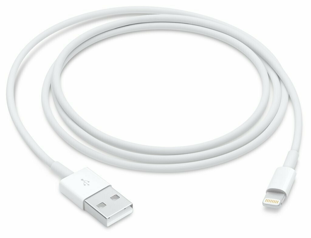 Apple 1mtr Lightning to USB Cable (A1480)