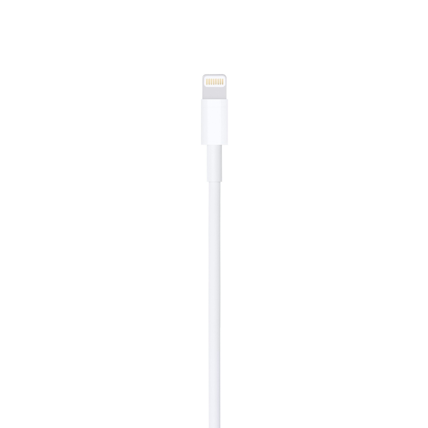 Apple 1mtr Lightning to USB Cable (A1480)