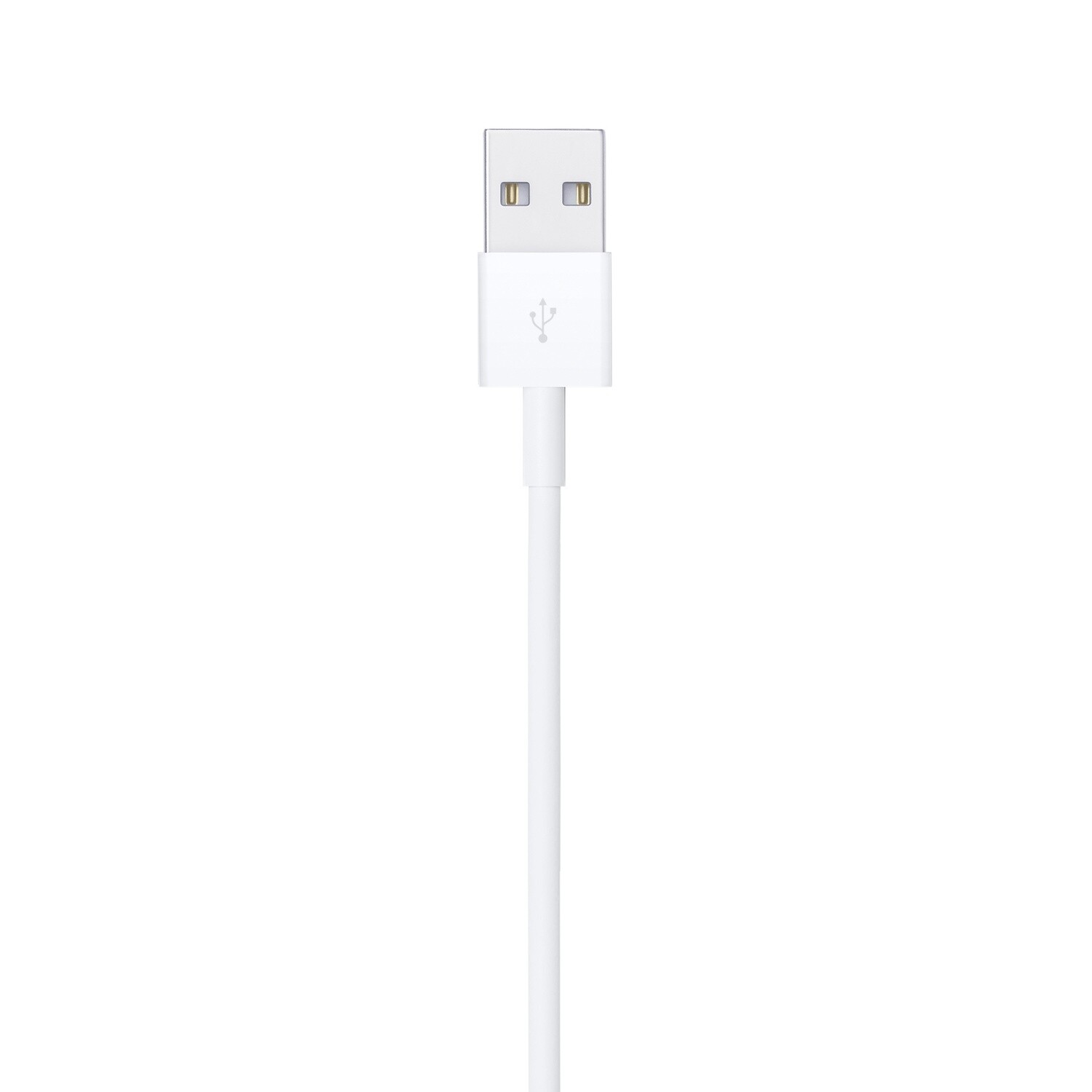 Apple 1mtr Lightning to USB Cable (A1480)