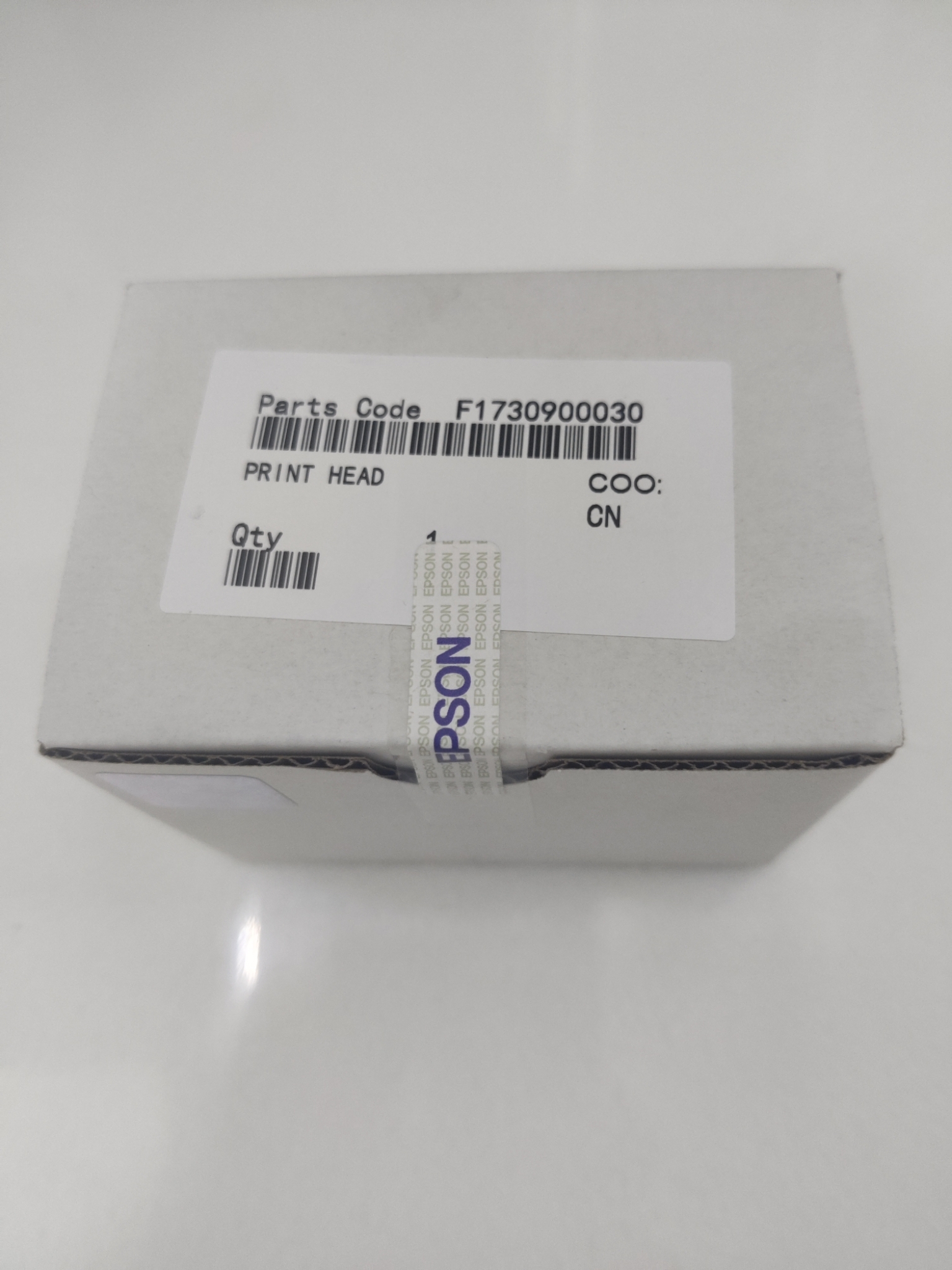 epson l1300 printer head