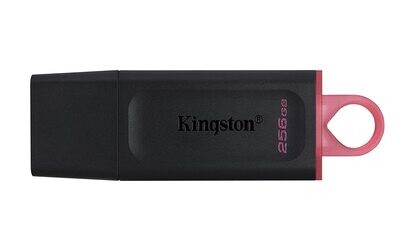 Kingston 256GB Pen Drive 3.2, Exodia Kingston 256GB Pen Drive 3.2, Exodia