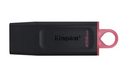 Kingston 256GB Pen Drive 3.2, Exodia