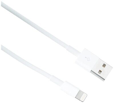 Apple 2 Mtr Lightning to Usb Cable