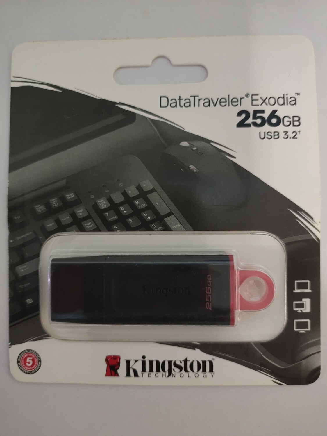 Kingston 256GB Pen Drive 3.2, Exodia