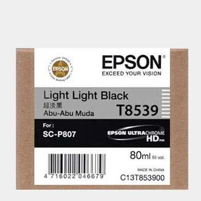 Epson T8539 Light Light Black Ink Cartridge (80ml)