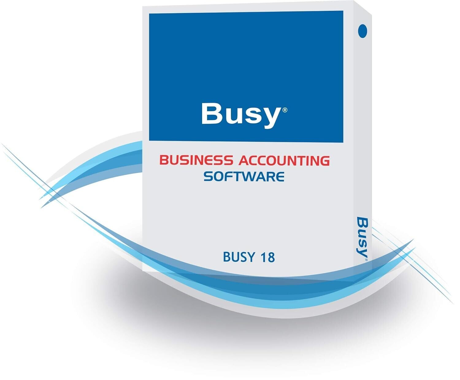 Single User, Lifetime (Standard) Busy Accounting Software Single User, Lifetime (Standard) Busy Accounting Software