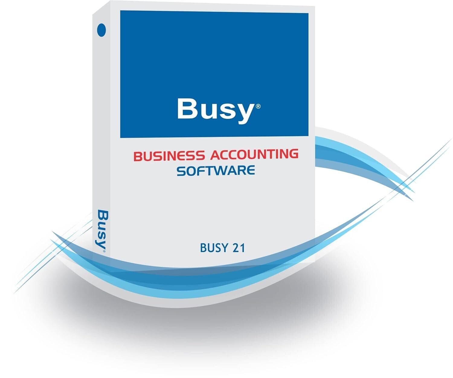 Busy Single User (Basic) Accounting Software