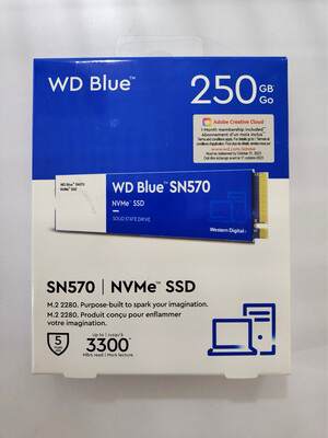 WD Blue 250GB SN570 NVMe M.2 (2280) Internal SSD
