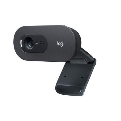 Logitech C505 720p HD External USB Webcam