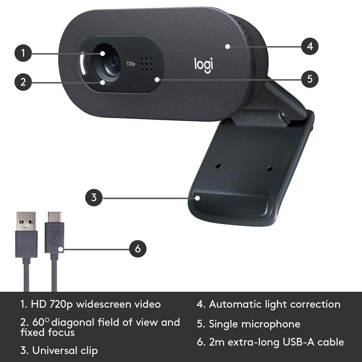 Logitech C505 HD USB Webcam