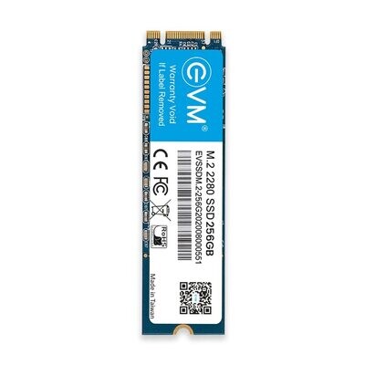 EVM M.2 (2280) 256GB SSD - Fast Performaning SATA Internal SSD