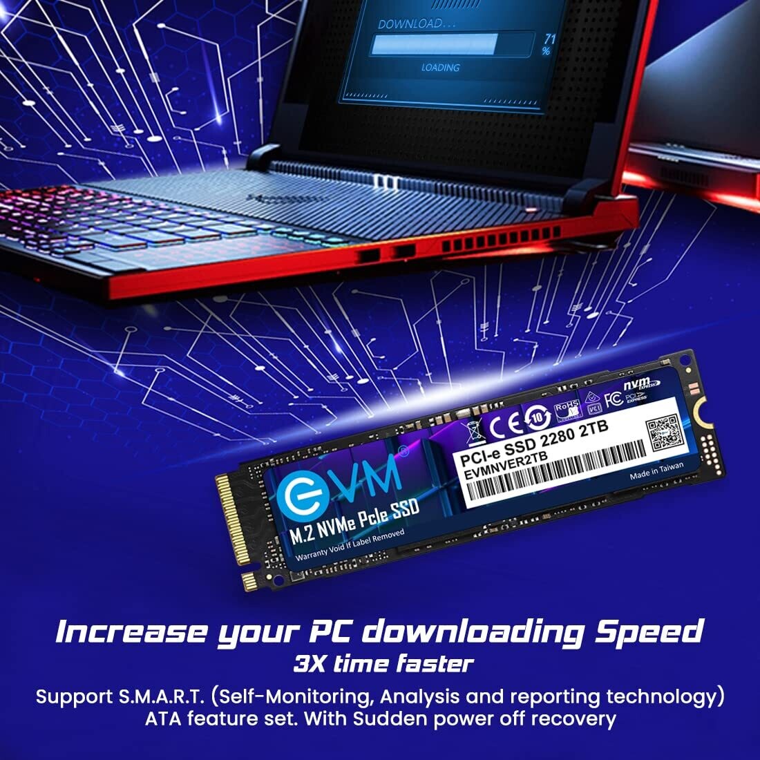 EVM 2TB Internal SSD - M.2 NVMe PCIe (2280)