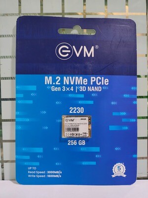 EVM M.2 NVME PCIE 2230 256GB SSD