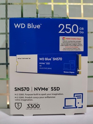 WD Blue 250GB SN570 NVMe M.2 (2280) Internal SSD