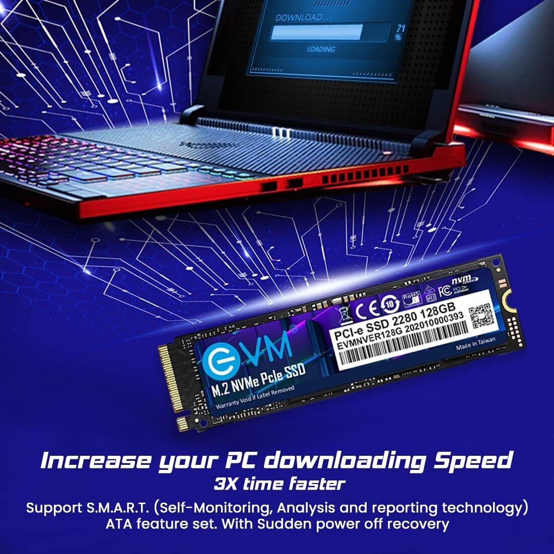 EVM 128GB Internal SSD - M.2 NVMe PCIe (2280)