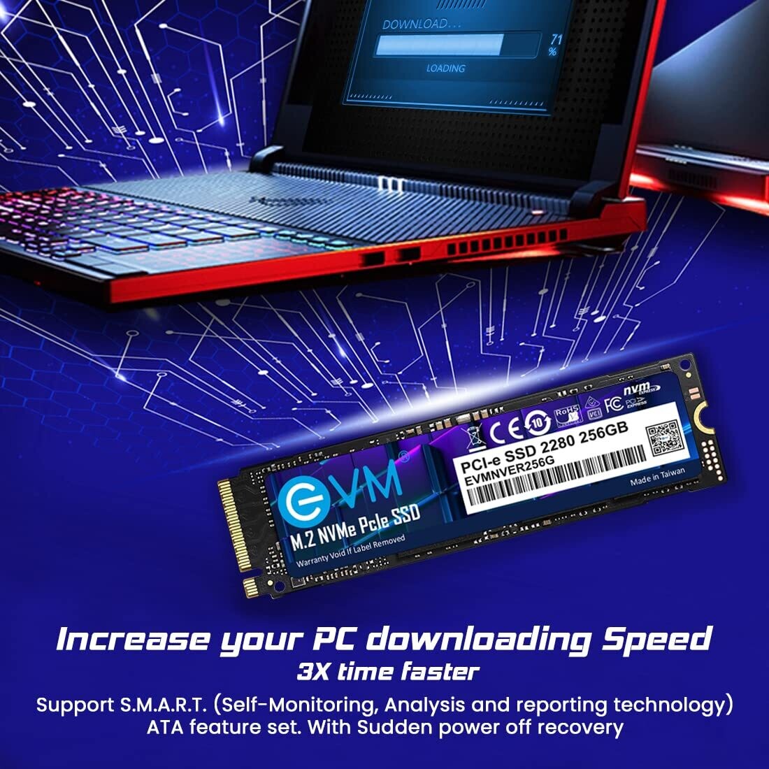 EVM 256GB Internal SSD - M.2 NVMe PCIe (2280)