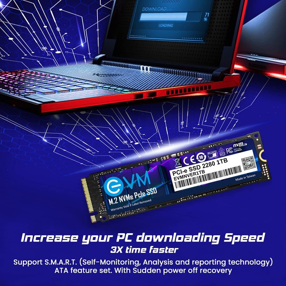 EVM 1TB Internal SSD - M.2 NVMe PCIe (2280)