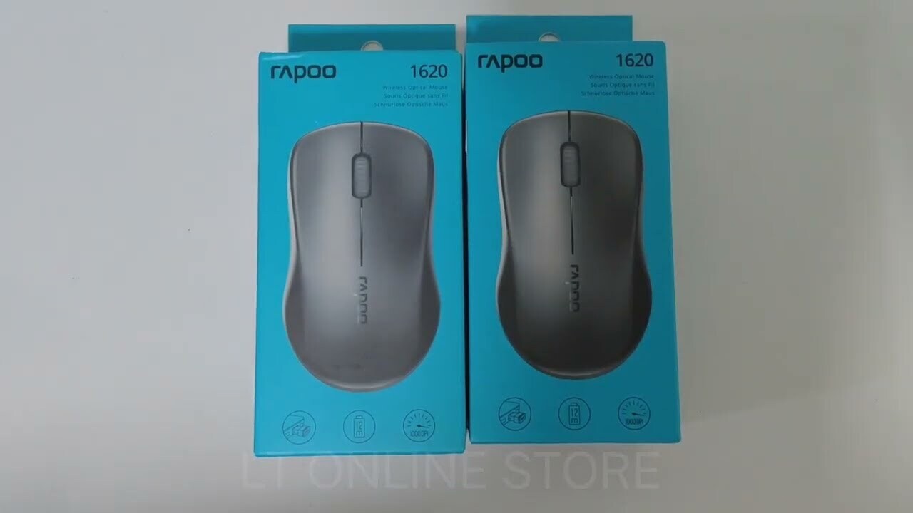 RAPOO 1620 Wireless Mosuse Black