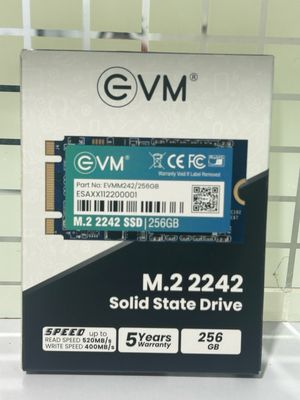 EVM 256GB 2242 M.2 SATA SSD