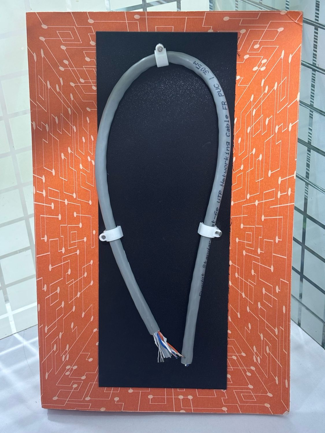 Prodot 100mtr Cat-6e Networking Cable Prodot 100mtr Cat-6e Networking Cable