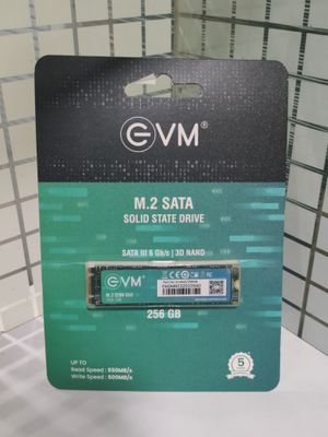 EVM M.2 (2280) 256GB SSD - Fast Performaning SATA Internal SSD