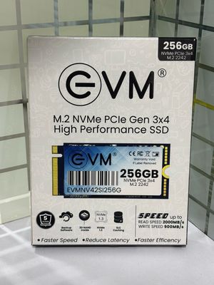 EVM 512GB 2242 M.2 SATA SSD