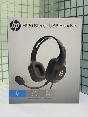HP H120 Stereo USB Headset (9Z4V9AA)