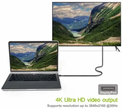 1.8mtr Type C to Displayport Cable