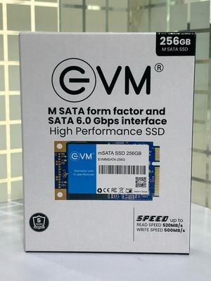 EVM M SATA 256GB Internal SSD