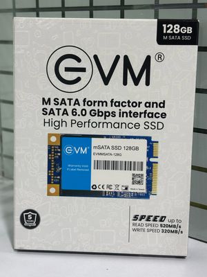 EVM M SATA 128GB Internal SSD