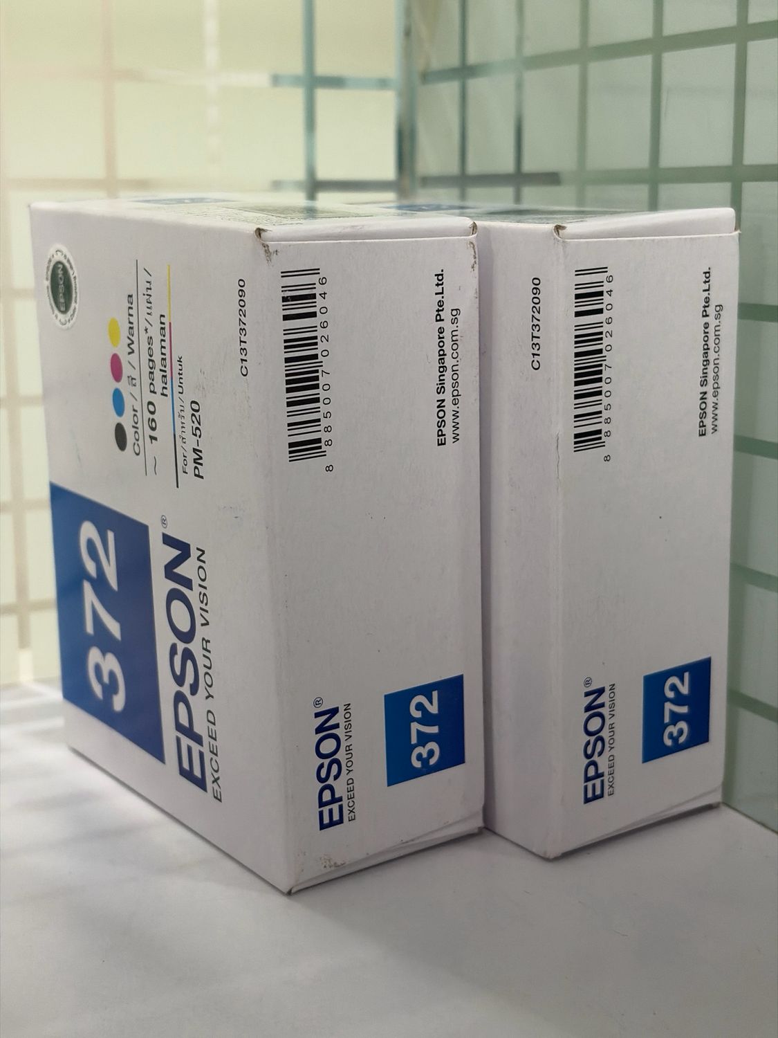 Epson 372 Photo Printer Ink Cartridge (Pack of 2)