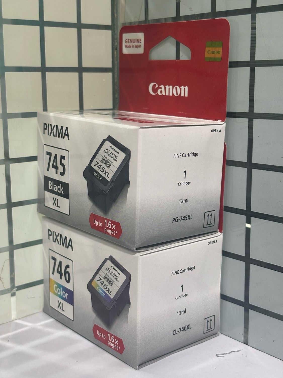 Canon MG2570, MG2577S, MG2970 Cartridge (745XL-746XL)