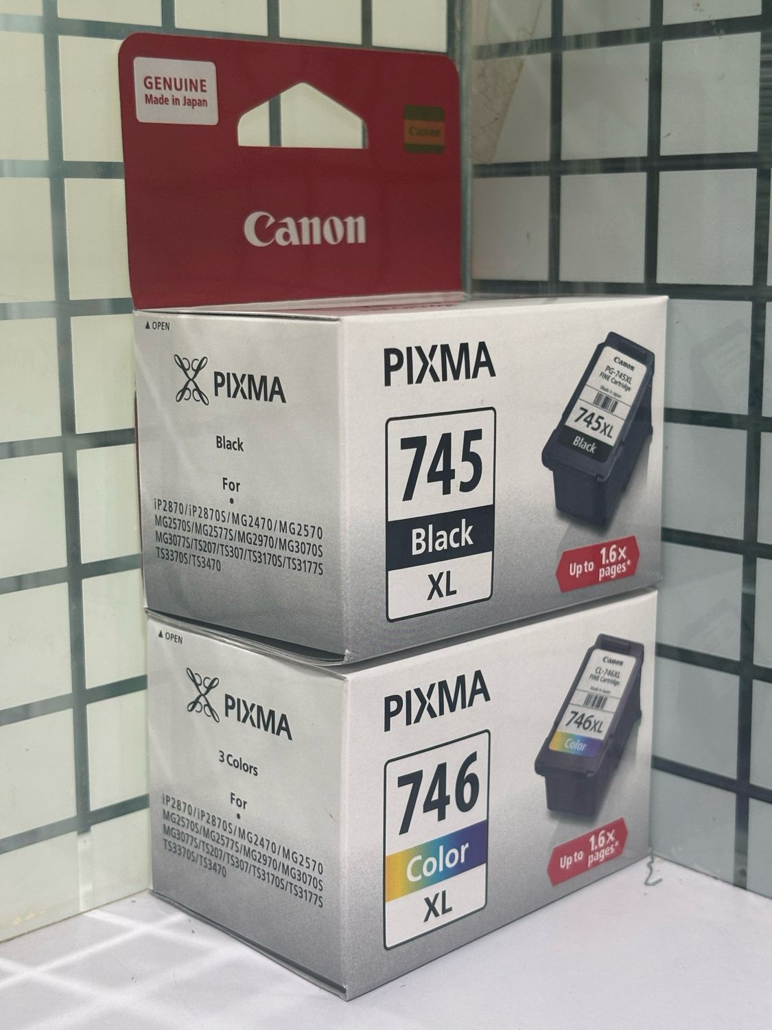 Canon MG2570, MG2577S, MG2970 Cartridge (745XL-746XL)