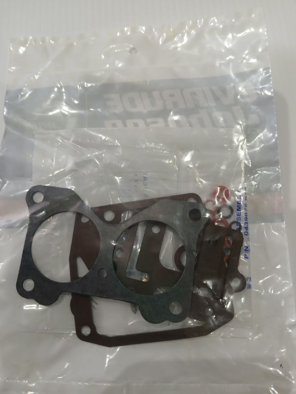Carby Repair Kit 0439076