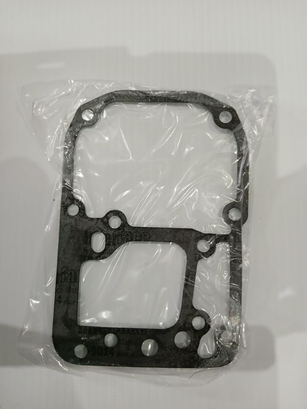 Cylinder & Crankcase to lower Engine Gasket 0325721