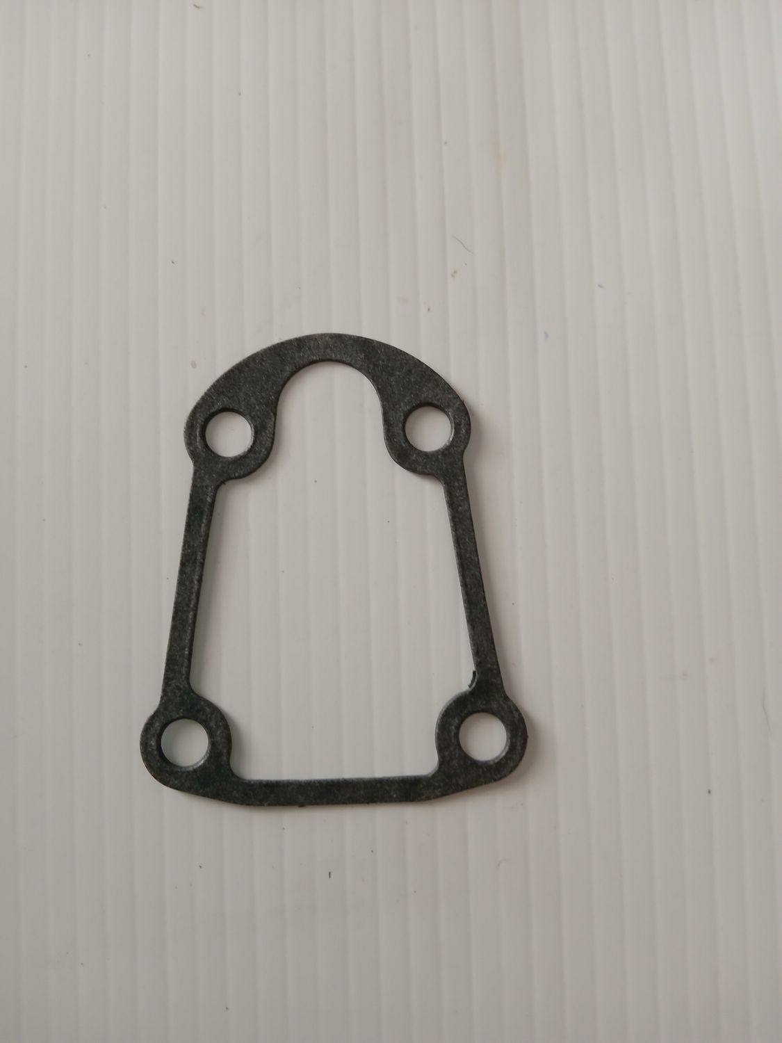  Gearcase Gasket  0314082