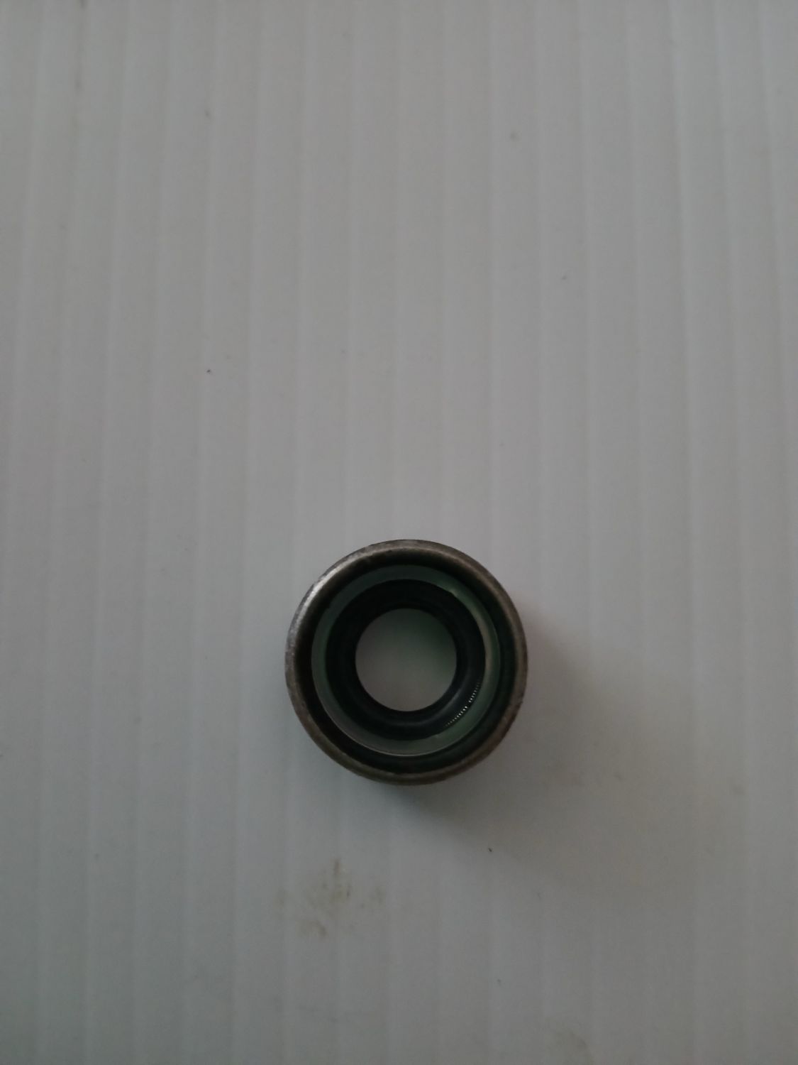 Seal 0327031