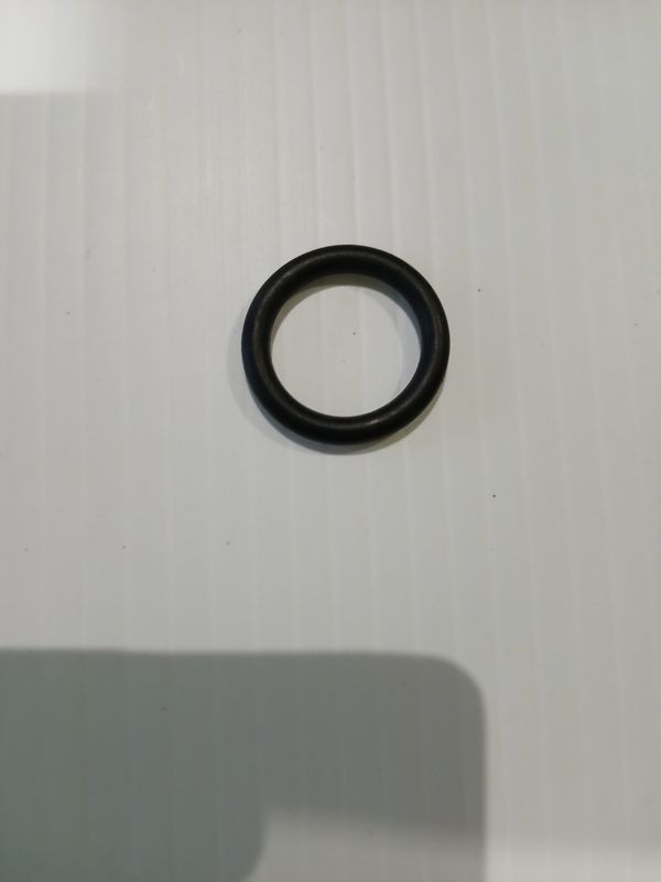Oring 0310584