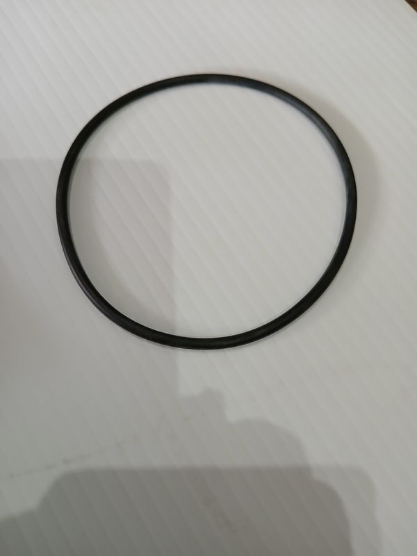 Oring 0305123