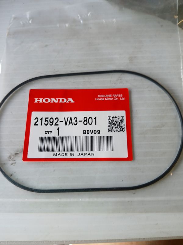 Oring, Miss Case  21592-VA3-801