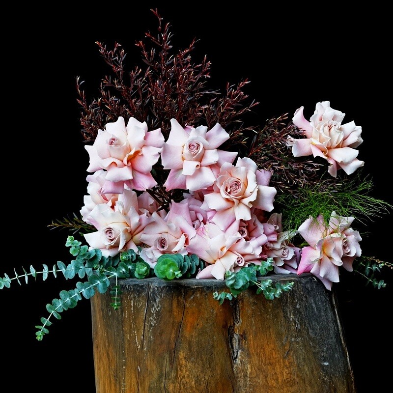 Eveleigh roses, Eveleigh roses,