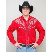 Shirt with embroidery