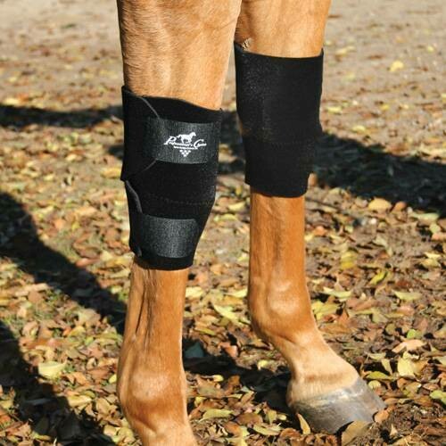Equine Knee Boots Professional Choice