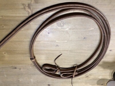 Reins