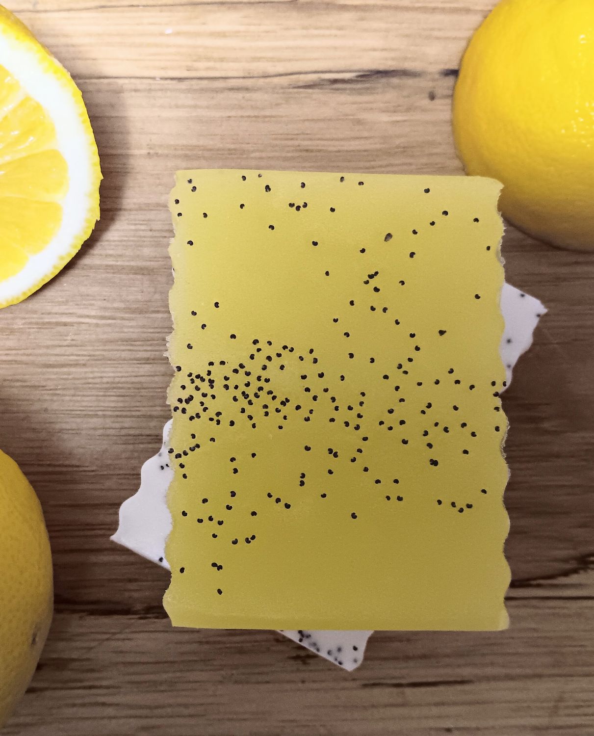 LEMON POPPYSEED / lemon