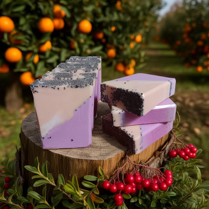 CRANBERRY ORANGE / orange, cranberry &amp; aspen