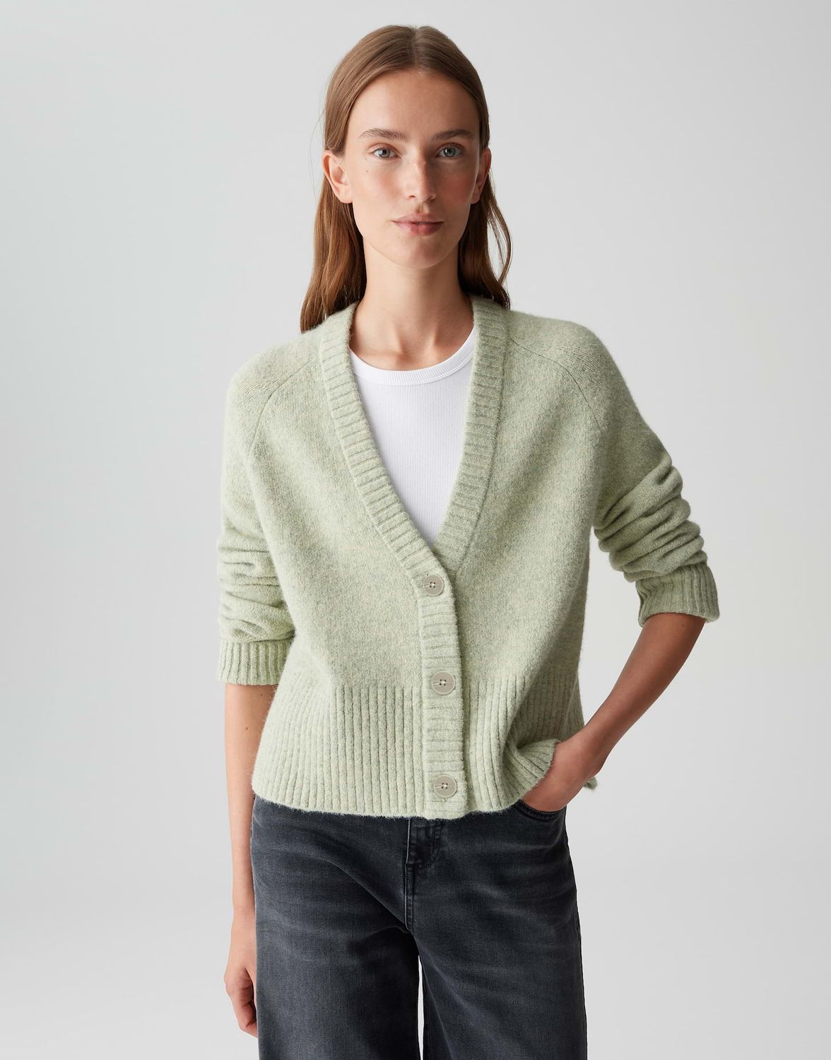 Opus Dassi Groen